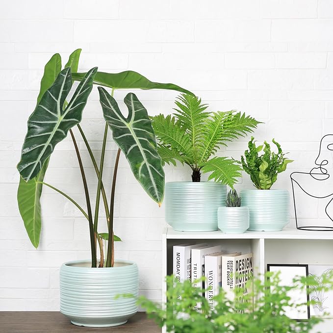 10 Inch Ceramic Plant Pot with Drainage – Large Flower Pot for Indoor Outdoor Plants, Modern Decorative Planter for Patio, Balcony, Garden, or Home Decor