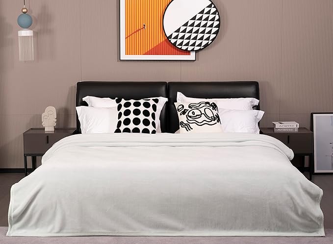 Mellowdy Extra Thick Hearty Plush Flannel Blanket (Pale Mint, 60x80) - 500GSM Twin Size Warm Blanket for Winter, Fall | Soft, Fluffy, Cuddly, Perfect for Bed, Oversized Throw for Couch, Sofa