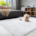 OLANLY 4x4 Machine Washable Accent Rug, Soft Fluffy Shaggy Area Rug by OLANLY