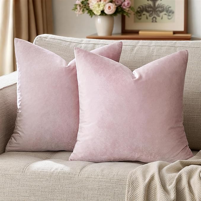GIGIZAZA Decorative Couch Throw Pillow Covers, Pillow Cases Velvet Pillow Covers by GIGIZAZAFocusingonhomedecoration