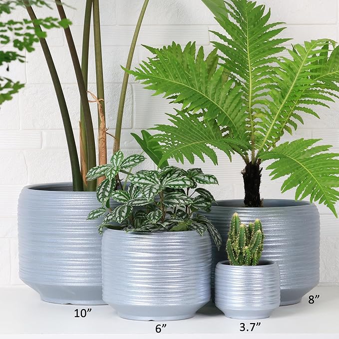 Mini Succulent Planter Set – 3.7 Inch Ceramic Pots with Drainage for Indoor Plants, Small Decorative Flower Pots for Cactus and House Plants, Set of 4