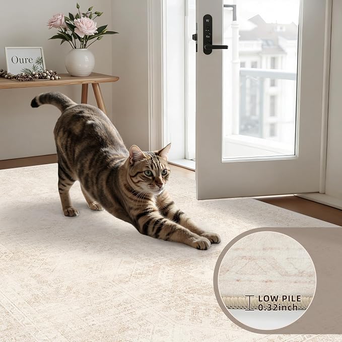 4x6 Area Rugs Living Room: Bedroom Neutral Washable Carpet Beige | Large - Image 7
