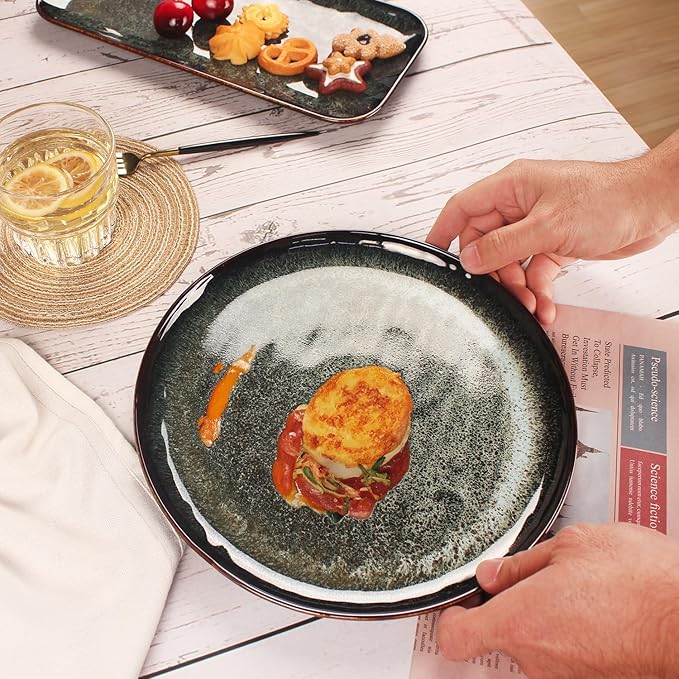 Ceramic Dinner Plates Dish Set,Set of 4,for Lunch snacks -Microwave Oven & Dishwasher Safe,Scratch Resistant,Dinnerware Kitchen Porcelain Serving Dishes 10 Inch Round