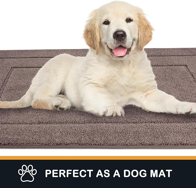 PURRUGS Dirt Trapping Door Mat 32" x 47", Non-Slip/Skid Machine Washable Entryway Rug, Dog Doormat, Super Absorbent Welcome Mat for Muddy Wet Shoes and Paws, Grayish Brown
