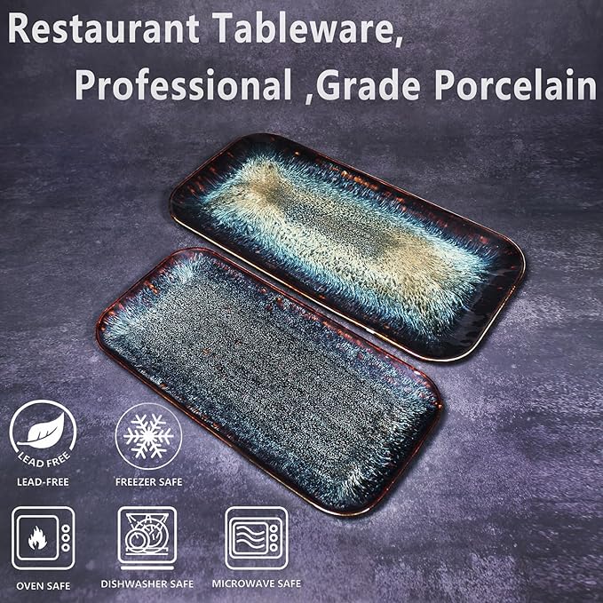 Porcelain Dinner Plates Platters Set of 2, for Fruit, dessert, snack platter, Bread, cupcake, Salad - Microwave, Dishwasher Safe, Scratch Resistant durable, Black Reactive glaze