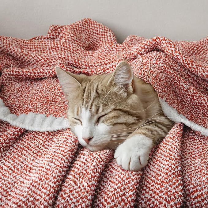 MIULEE Fall Rust Super Soft Throw Blanket for Couch, Cozy Fluffy Warm Throws Knit Blankets for Sofa, Bed, Chair, Living Room, Camping, Picnic, 50 x 60 inch