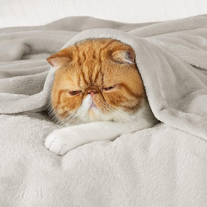 Bedsure GentleSoft Bedding Fleece Blanket - Image 7