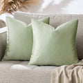 GIGIZAZA 18x18 Pillow Covers Set of 2 Velvet Throw Pillows Decorative Sage by GIGIZAZAFocusingonhomedecoration
