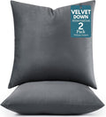 LANE LINEN Polyester Fiber Filled Decorative Cum Throw Pillow Inserts Pack of by LaneLinen