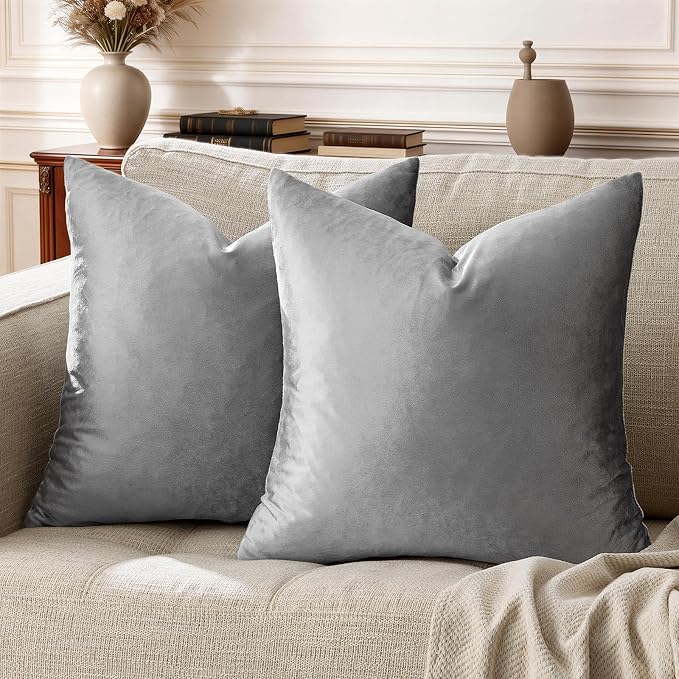 GIGIZAZA 22x22 Velvet Pillow Covers Set of 2, Dark Grey Throw Pillows Modern by GIGIZAZAFocusingonhomedecoration