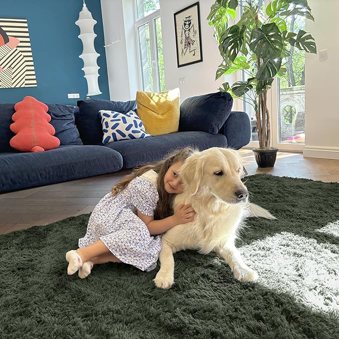 OLANLY 8x10 Machine Washable Large Area Rugs - Image 3
