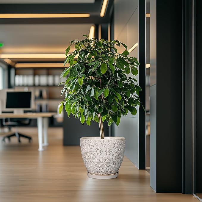 10 Inch Ceramic Planter Pot Large Plant Pot for Indoor Plants Outdoor Round Flower Pot with Drainage Hole and Saucer for Home Garden Decor White