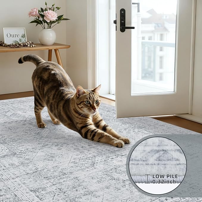 3x5 Area Rugs Living Room: Bedroom Neutral Washable Carpet Gray | Vintage Boho - Image 7