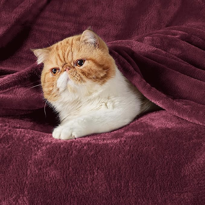 Bedsure GentleSoft Fleece Blankets Queen Size Red Burgundy - Image 2