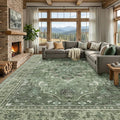 RELEANY Washable Area Rug, Large 10'x14', Water Repellent, Pet Friendly by RELEANY