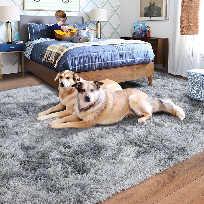 Rugs for Bedroom 4x6, Soft Shaggy Modern Shag Area Rug for Living Room - Image 2