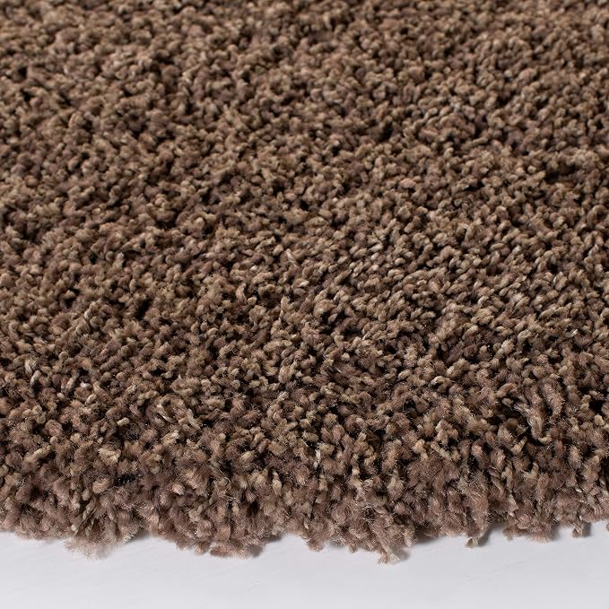 SAFAVIEH Area Rug 3x5 - Image 6