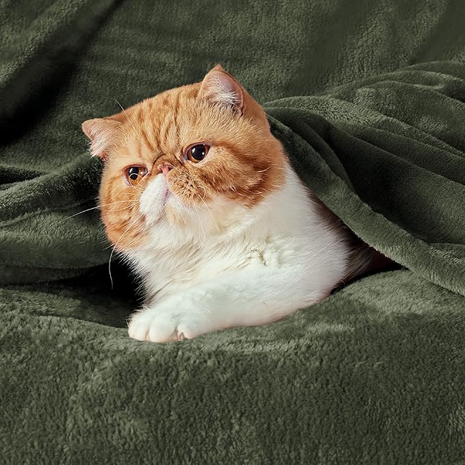 Bedsure GentleSoft Fleece Blanket Twin Size Olive Green - Image 2