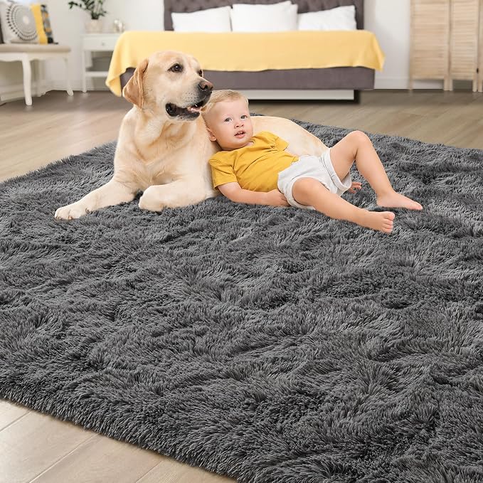 Tepook Soft Fluffy Rugs for Bedroom, 4x6 Area Rug for Living Room, Modern - Image 4