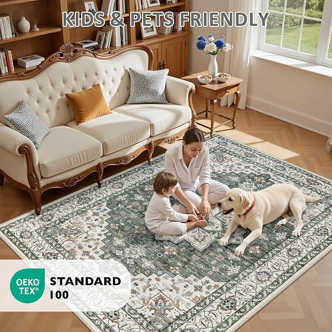 4x6 Area Rugs Living Room: Washable Rug - Image 8