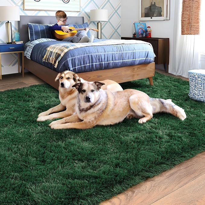 Rugs for Living Room 6x9, Soft Shaggy Modern Shag Area Rug for Bedroom - Image 2