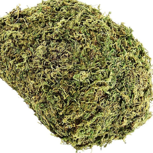 35 OZ Fake Moss for Potted Plants Artificial Moss for Fake Plants Faux Moss for Planters Decorative Moss for Craft and Home Decor…