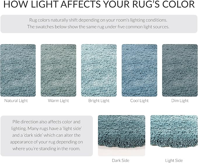 SAFAVIEH Area Rug 4x6 - Image 10