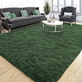 Tepook Soft Fluffy Rugs for Living Room, 5x8 Shaggy Area Rug for Bedroom by Tepook