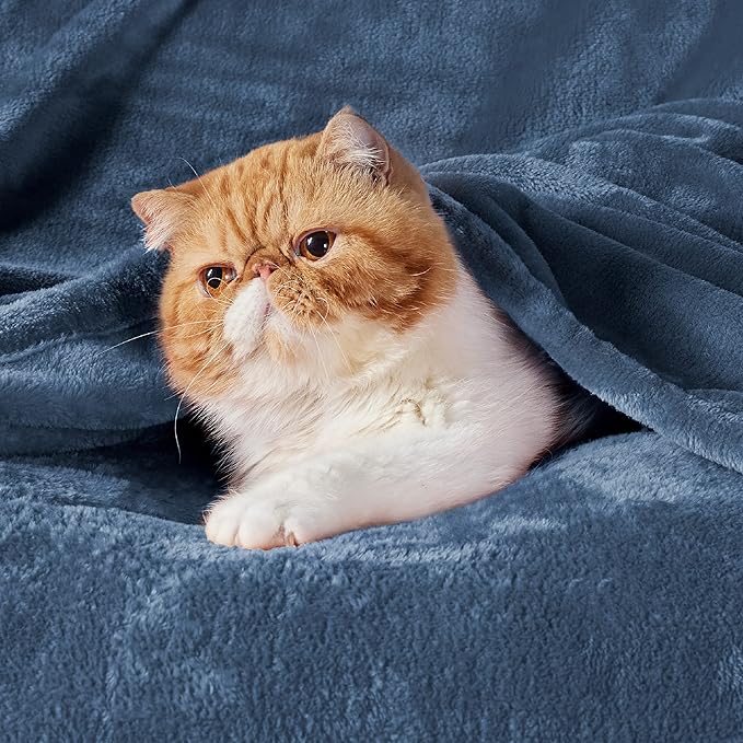 Bedsure GentleSoft Fleece Blankets King Size Blue - Image 2
