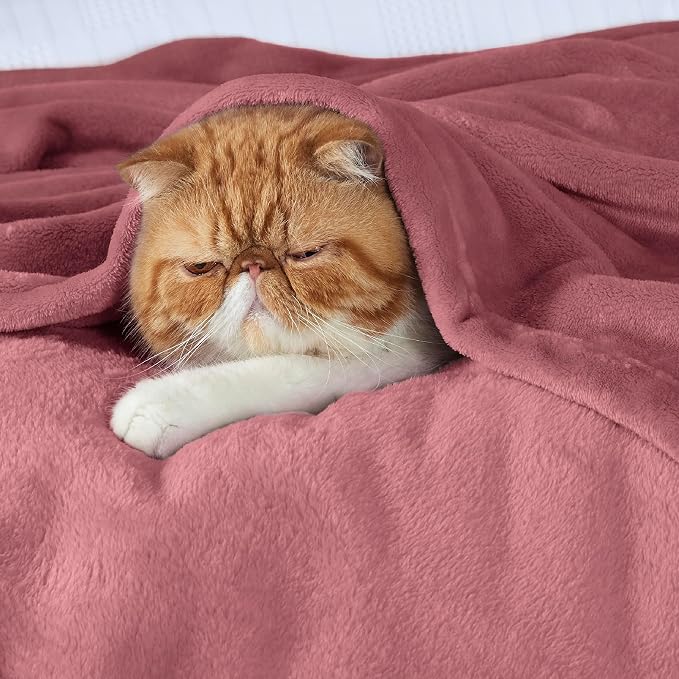 Bedsure GentleSoft Fleece Throw Blanket - Image 3