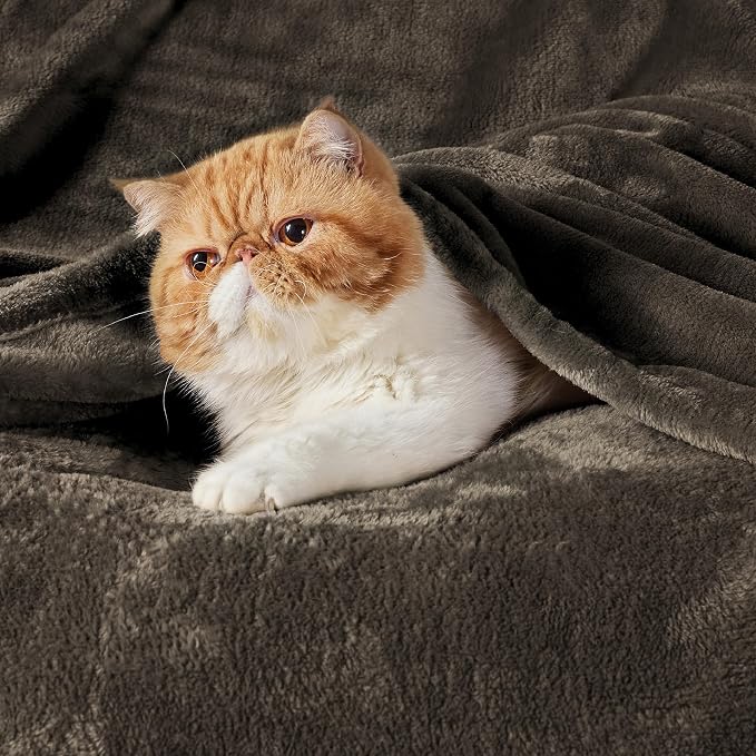 Bedsure GentleSoft Brown Fleece Blankets King Size - Image 2