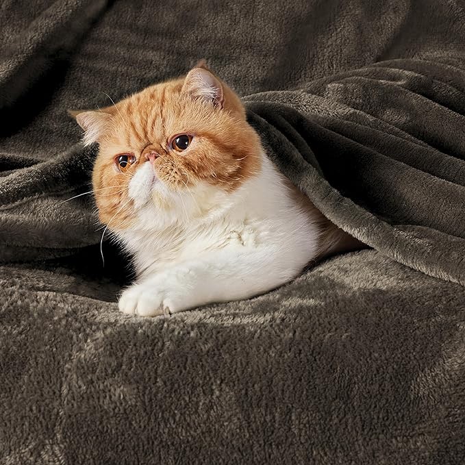 Bedsure GentleSoft Brown Fleece Blankets King Size - Image 2
