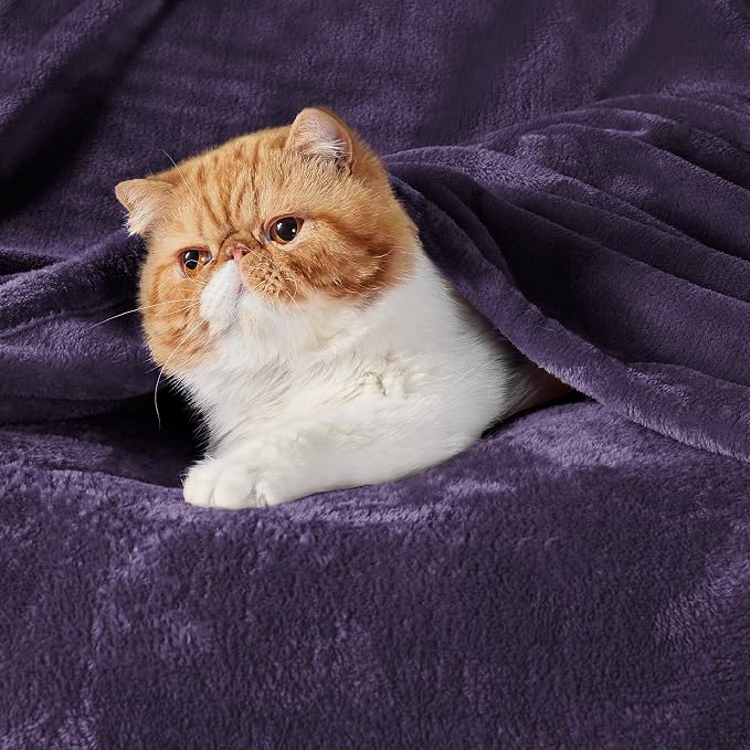 Bedsure GentleSoft Fleece Throw XL Blanket Purple - Image 2