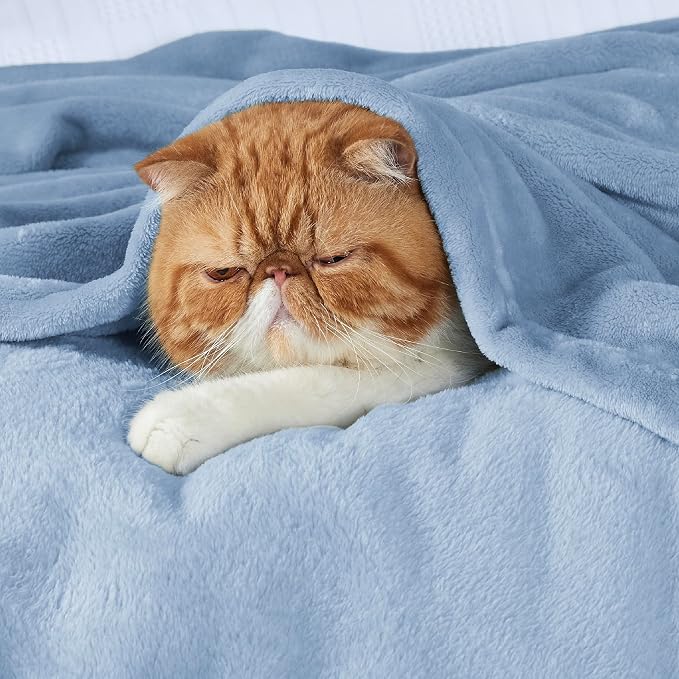 Bedsure GentleSoft Fleece Blankets Twin Size Light Blue - Image 3