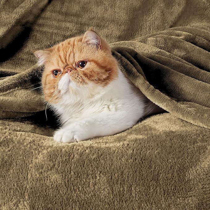 Bedsure GentleSoft Fleece Blanket Twin Size Camel - Image 2
