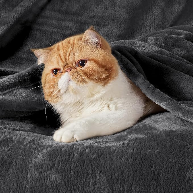 Bedsure Charcoal Fleece Blanket 50x70 Blanket - Image 2