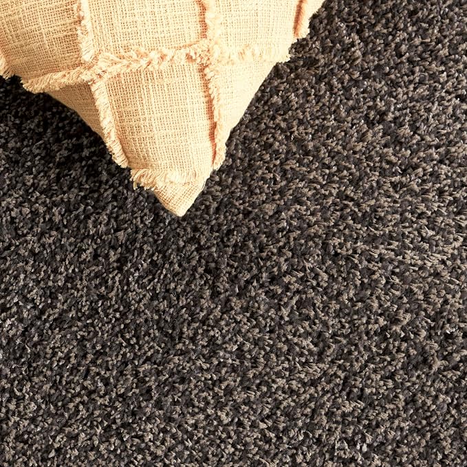 SAFAVIEH Area Rug 3x5 - Image 6