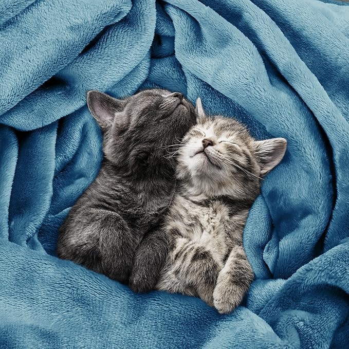 Utopia Bedding Soft Fleece Bed Blanket Twin Size Washed Blue | Microfiber Plush - Image 4
